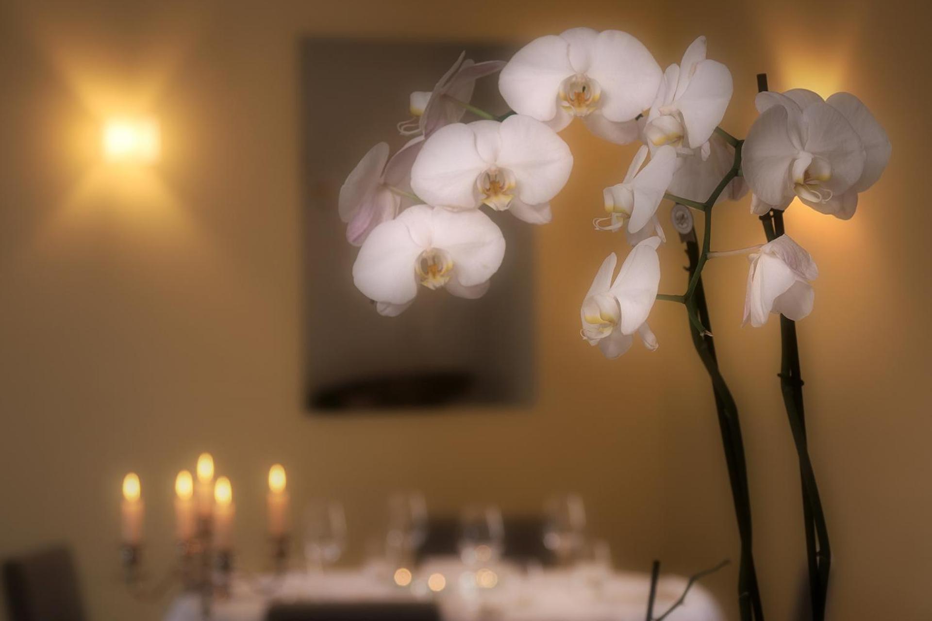 Ristorante Charme Hotel Tre Terre Ponte Brolla Exteriér fotografie